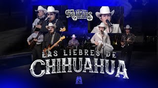 Las Liebres De Chihuahua  Los Ramones De Nuevo León [upl. by Teik]