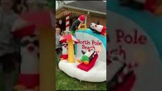 Christmas inflatables part 2 christmas music merrychristmas inflatableinflatables popularfyp [upl. by Crowell]