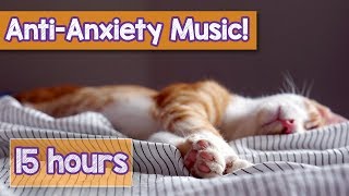 Calming Music for Cats with Anxiety Deep Soothing Music for Anxious ill and Stressed Cats 2018 [upl. by Yelnik237]