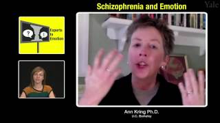 Experts in Emotion 173a  Ann Kring on Schizophrenia and Emotion [upl. by Nniuq]