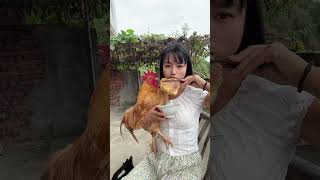 Very Good Chicken funny viral wildlife farmlife [upl. by Dash14]