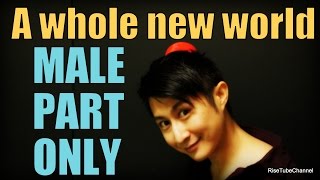 A whole new world KaraokeMALE part vocals only  男性（アラジン）パートのみ [upl. by Yuhas]