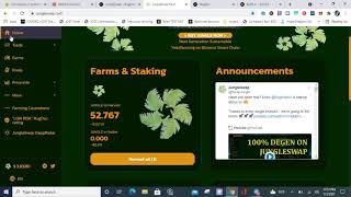 Binance Smart Chain and Fantom Yield Farming Strategy [upl. by Ecilef]