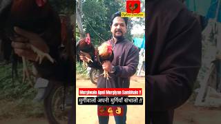 Murga Bola Kukdu kuMurgiwalo Apni Murgiyan Sambhalo🐓♥️👌desi murga murgi rooster henyt shorts [upl. by Drus452]