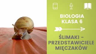 Biologia klasa 6 Ślimaki  przedstawiciele mięczaków Uczymy się razem [upl. by Redmund]