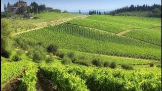 Chianti best routes in Tuscany [upl. by Kciwdahc318]