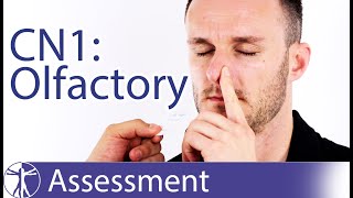 Cranial Nerve 1  Olfactory Nerve Assessment for Physiotherapists [upl. by Zobkiw]