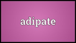 Adipate Meaning [upl. by Vano842]