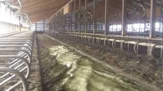 McCormick Farms  Dairy Reclamation System [upl. by Eahcim]