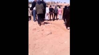 Protestation against Polisario human rights abueses in Tindouf camps [upl. by Amluz191]