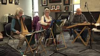 Rock River String Band at Hedberg Public Library [upl. by Ahselat]