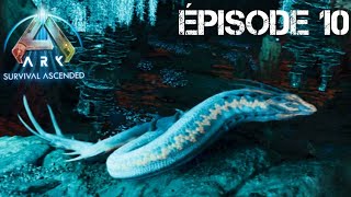 le taming du basilisk sur aberration  épisode 10 [upl. by Weinrich]