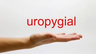 How to Pronounce uropygial  American English [upl. by Rossen]