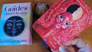 Guides of the Hidden Realms Oracle  Flip Through amp One Card Reading [upl. by Elvis]