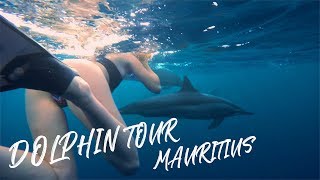 MAURITIUS  DOLPHINS  Cinematic Travel Movie  Sony Alpha Cam  DJI Mavic [upl. by Einnoc]