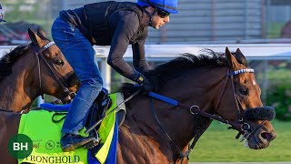 Stronghold and Others Record Final Breezes 2024 Kentucky Derby 150 Training 42824 [upl. by Hatch]