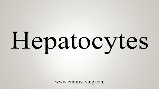 How To Say Hepatocytes [upl. by Roye]