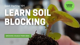 Soil Blocking  How I Use a Soil Blocker to Grow Coleus Seeds [upl. by Ellerred]