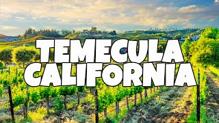 Best Things To Do in Temecula California [upl. by Darill]