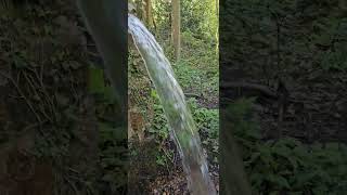 The Spout Spout Lane Broseley Shropshire 19424 [upl. by Euqram]