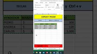 Cómo Copiar Y Pegar en Excel [upl. by Akimas551]