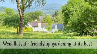 A garden visit to Wenallt Isaf Gwent [upl. by Aserehs]