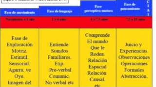 fases de aprendizaje y desarrollo motor [upl. by Efron]