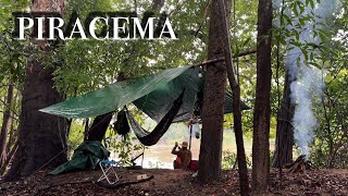 ACAMPAMENTO show MAS é hora de PARAR Chegou o momento de REPRODUÇÃO dos PEIXES… VIDA SELVAGEM 🌳🏕️ [upl. by Zea]