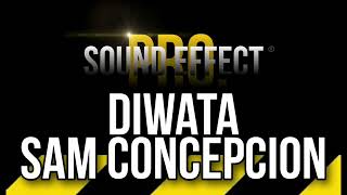 05  Diwata  Music Cut Sound Effect For Vlog  No Copyright Sound Effect [upl. by Ahsiam]