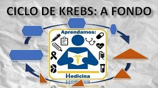 CICLO DE KREBS A FONDO [upl. by Vidovik393]