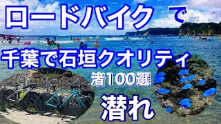 ロードバイクで丘を越え、石垣クオリティ​⁠潜れ！大人の夏休みトレックドマーネAL4ビアンキスプリント守谷海岸渚100選sagiricorn [upl. by Ennoirb]