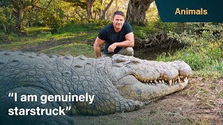 Meet Henry the worlds oldest crocodile  Killer Crocs with Steve Backshall [upl. by Aynekat802]