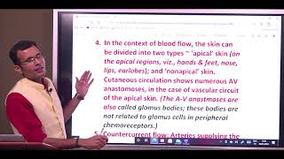 Cutaneous circulation The salient features viveksirsphysiology vsp [upl. by Jer]