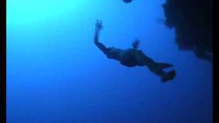 William Trubridge freedives THE ARCH at Blue Hole Dahab [upl. by Annaiuq602]