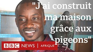 « J’ai construit ma maison grâce aux pigeons »  BBC Afrique [upl. by Nnayram197]