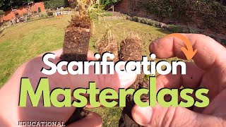 Scarification BASICS  Learn Why And How To Scarify Your Lawn [upl. by Anikes846]