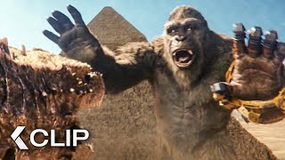 Kong vs Godzilla  Egypt Fight Scene  GODZILLA X KONG The New Empire 2024 [upl. by Rafael]