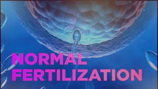 Normal fertilization [upl. by Noyart]