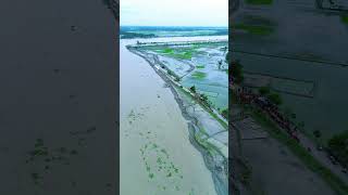 পদ্মাপারের জীবন Drone View sorts viralshort youtubeshorts dronview [upl. by Engenia]