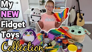 My NEW Fidget Toys Collection Officially Leah [upl. by Ultun825]