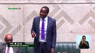 National Assembly of Zambia Live Stream [upl. by Yann]