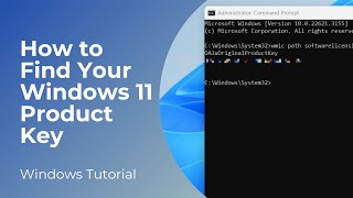 How to Find Your Windows 11 Product Key [upl. by Loar]