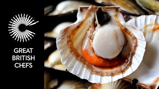 How to open a scallop [upl. by Odnalro]