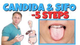 5 Steps to Improve Candida or SIFO Small Intestinal Fungal Overgrowth [upl. by Ditzel190]