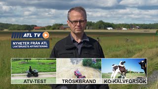 ATL TV ATVtest med Grizzly • Ko och kalv tillsammans • Ovanligt många maskinbränder [upl. by Reld]