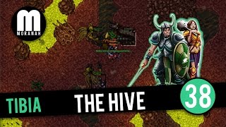 Tibia  38  Elite Knight hunting The Hive [upl. by Aniras587]