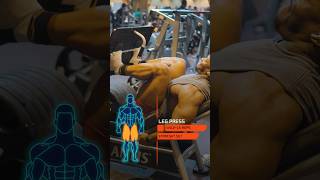 FULL LEGDAY WORKOUT ROUTINE [upl. by Maureene]