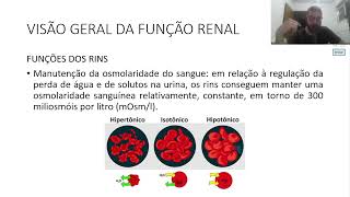 AULA 1 BIOFÍSICA VISÃO GERAL DA FUNÇÃO RENAL [upl. by Sudoeht]