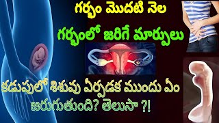 Sign amp Symptoms Of Early Pregnancy  1st Month Pregnancy Symptoms Telugu  pregnancy trending [upl. by Aseefan96]