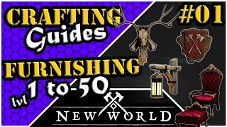 New World Crafting  Furnishing  Leveling Guide 1 to 50 [upl. by Evita646]